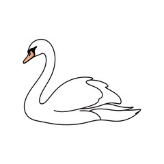 Simple single line drawing of an elegant white swan, wildlife, water bird, and minimalist nature vector illustration.