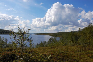 The unique nature of the northern tundra, the Lapland landscape, the kingdom of the Sami, huge stones, blue skies and unusual crooked trees.