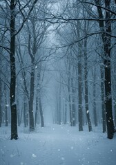 Frozen Woodland Scene at night 