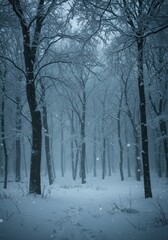 Frozen Woodland Scene at night 