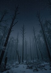 Luxurious red velvet fabric with soft folds and waves on a dark background, perfect for fashion or wallpaper design.
