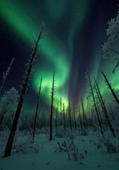 Luxurious red velvet fabric with soft folds and waves on a dark background, perfect for fashion or wallpaper design.
