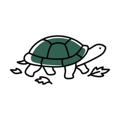 Simple line art drawing of a tortoise or turtle with a green shell, reptile, wild animal, and nature vector illustration.