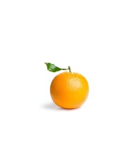 orange on white background