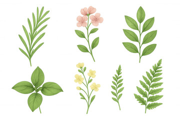 Naklejka premium Botanical watercolor collection including delicate flowers, various leaves, and lush green plants with transparent background