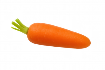 Fresh organic orange carrot with green top, healthy vegetable for nutrition and cooking, transparent background