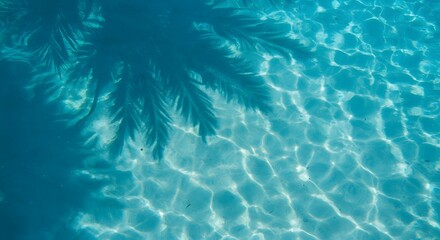 Tropical pool water with palm tree shadow summer