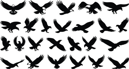 Fototapeta premium Flying eagle silhouette vector set