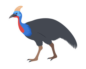 Flat 2D Cassowary vector illustration, icon graphic on white background