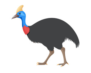 Flat 2D Cassowary vector illustration, icon graphic on white background
