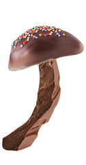 Chocolate Mushroom Illustration on isolated background