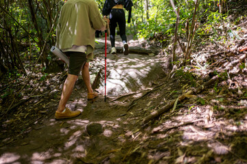 People hiking forest trail using trekking pole