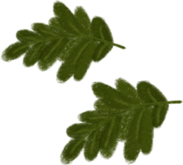 Acorn Leaf Clipart - Cozy Fall Illustration - Autumn Hand-Drawn Art