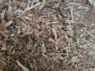 A detailed overhead view of natural wood chips and sawdust, showcasing the rich, earthy texture and varied tones of organic mulch used for gardening and landscaping projects