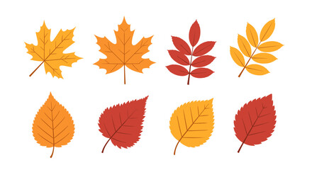 A collection of colorful autumn leaves in warm shades of yellow red and orange.