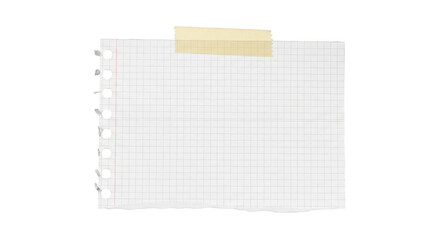 Grid paper taped torn edges
