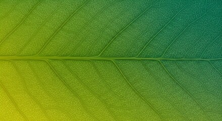 Close-up macro of a bright green leaf showing its intricate texture, detailed veins, and vibrant foliage pattern, capturing the fresh essence of nature