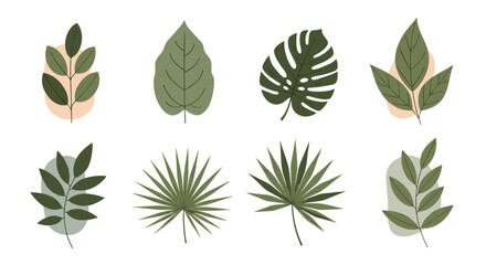 A collection of tropical green leaves and organic shapes against a light background.