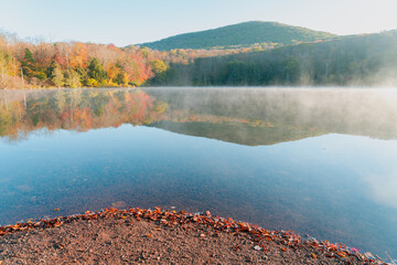 Beautiful Autumn Forest with Mountain Fog and A Lake