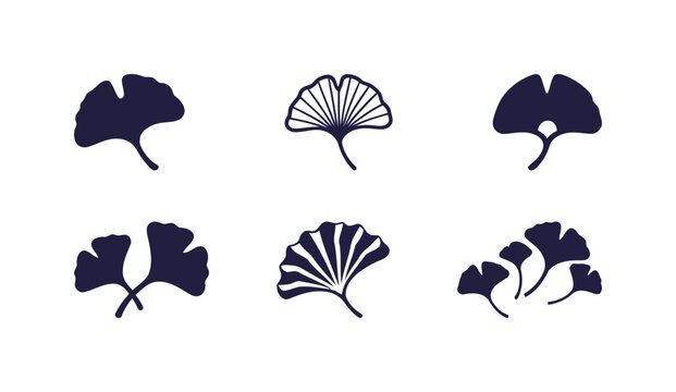 Ginkgo Biloba Leaf Vector Icons (Solid & Detailed Outline). Nature, Traditional Medicine, Plants, Asian Culture.