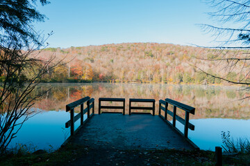 Beautiful Autumn Forest with Mountain Fog and A Lake