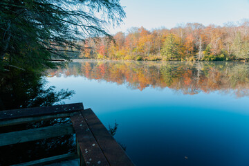 Beautiful Autumn Forest with Mountain Fog and A Lake