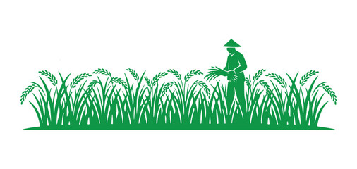 Silhouette of a rice field. green vector illustration of a rice farm. Growing crops.