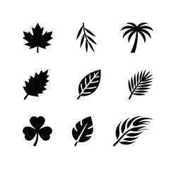 Fototapeta premium Black Leaf Icons Set, Vector Collection of Various Tree and Plant Leaves Including Maple, Palm, and Clover