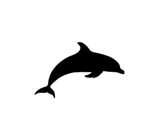 Black dolphin jumping