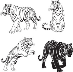 A collection of four black and white tiger illustrations in dynamic poses including walking sitting and pouncing.