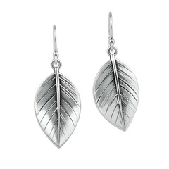 Detailed silver leaf earrings are suspended from hooks.