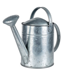 Metal watering can with a long spout and sprinkle head sits on black.