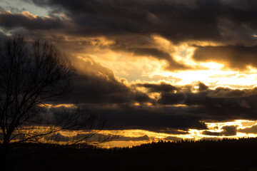 Bare tree silhouette against dramatic sunset sky with golden light peeking through dark clouds, distant forest line