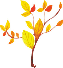 autumn leaves isolated on white