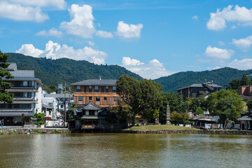 Japan Nara deer Nara Park deer 