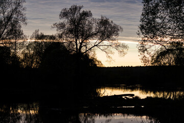 Dramatic tree silhouette at sunset, its branches reaching for the twilight sky. Golden light reflects on calm water, creating a serene evening landscape