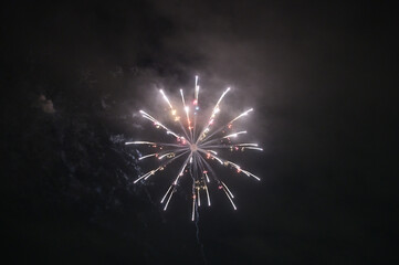 夜空を彩る花火