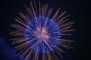 夜空を彩る花火