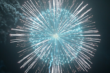 夜空を彩る花火