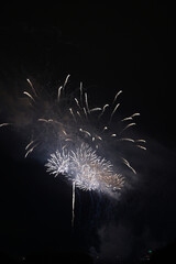夜空を彩る花火