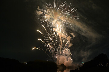 夜空を彩る花火
