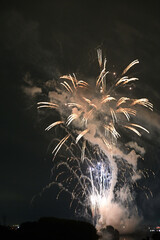 夜空を彩る花火