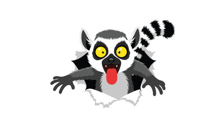 Obraz premium A surprised ring tailed lemur bursts through a torn paper revealing its tongue and wide eyes.