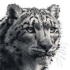 Cute Snow Leopard Cub Illustration with Blue Eyes