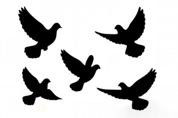 Flying dove silhouettes representing peace, freedom, spirituality, and unity with transparent background