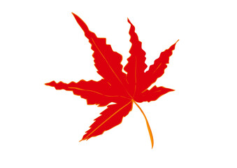 モミジ単体・一葉・一枚の葉