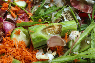 organic waste from kitchen vegetable scraps in plastic bags, consisting of red onion skins,...