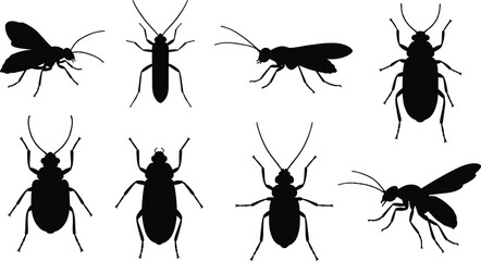 Insect silhouettes collection, beetles, wasps, bugs, and flying insects vector illustration, black insect shapes, entomology design for science art © Kartik Creative