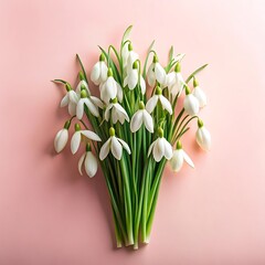 Beautiful bouquet of snowdrop flowers against a delicate pink backdrop spring blossoms in full bloom