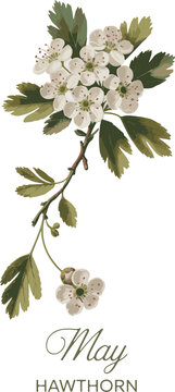 Birth Month flowre with watercolor design